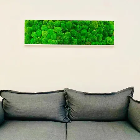 Nima Oberdan House Apartment